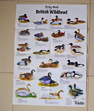 British wildfowl daily for sale  TWICKENHAM