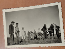 Foto landwirtschaft pferd gebraucht kaufen  Spraitbach
