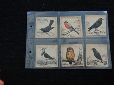 Different trade cards for sale  MELTON MOWBRAY