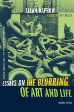 Essays the blurring gebraucht kaufen  Berlin