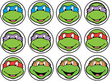 Ninja turtles muffinaufleger gebraucht kaufen  Saarbrücken