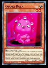 Ojama rosa italiano usato  Venezia