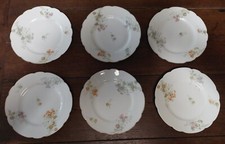 Limoges haviland porcelain d'occasion  Expédié en Belgium