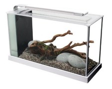 Fluval spec aquarium for sale  DARTFORD