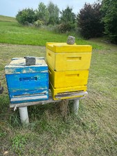 Bienenbeuten zander maß gebraucht kaufen  Kulmbach
