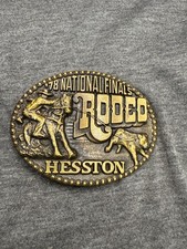 Vintage hesston rodeo for sale  Sully