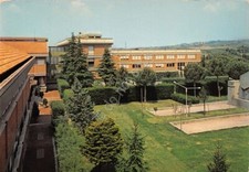 Cartolina sassone frattocchie usato  Milano