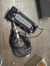 Pick chitarra acustica usato  Sarzana