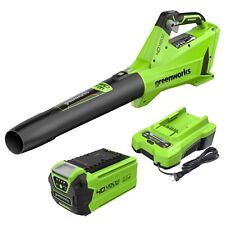 Greenworks 40v cordless for sale  Morganton