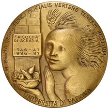 Medaglia della facoltà usato  Italia