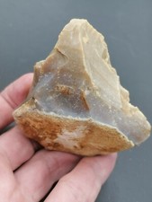 Neanderthal middle paleolithic d'occasion  Bonneville