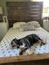 Custom barnwood queen for sale  Charleston
