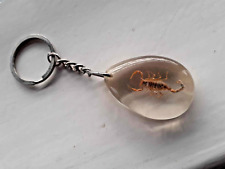 Bug keyring real for sale  KINGSWINFORD