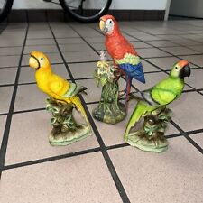 2 parrots for sale  Jacksonville