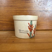 cactus pots for sale cactus pots for sale CHESTER