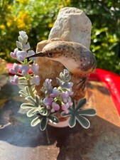 Royal worcester dorothy for sale  Newberry