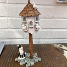 Leonardo collection kitten for sale  BIRMINGHAM