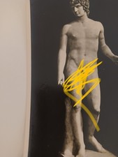 Antinoo scultura museo usato  Bologna