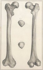 Osteologia 1759 Secondo Tarsis Osteologia Medicina comprar usado  Enviando para Brazil
