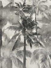 king palm tree for sale  MORPETH