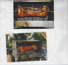 Grill spanferkell lamm gebraucht kaufen  Gottfrieding