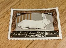 flemish giant giants for sale  Lake Zurich