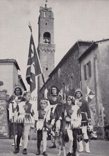 canto tordo bottaccio usato  Roma