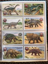Dinosaurier sammelkarten dino gebraucht kaufen  Fehrb.,-Winzeln