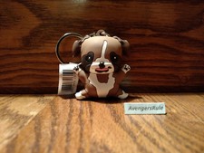 Purrfect pets puppies for sale  Nebo