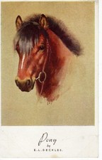 Vintage postcard. pony.artist for sale  LOANHEAD