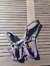 Halfter shetty lila gebraucht kaufen  Nordhorn