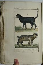 Buffon fig. 1792 usato  Arezzo