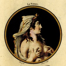 Curiosa nature louis d'occasion  France