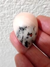 Poire australian designer d'occasion  Cahors