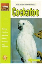 Guide owning cockatoo for sale Guide owning cockatoo for sale  UK