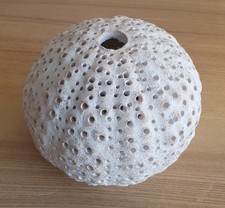 Ceramic sea coral for sale  COULSDON