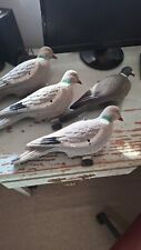 Pigeon shooting decoys for sale  CRANLEIGH