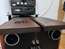 Holz seitenteile technics gebraucht kaufen  Niedereschach