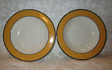 Set pagnossin ironstone for sale  Sachse