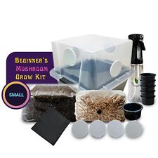 Small beginners mushroom for sale  Scottsdale