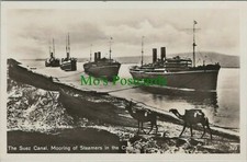 Egypt postcard suez for sale  WATERLOOVILLE