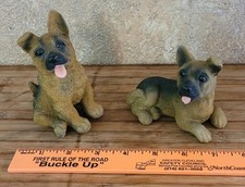 German shepherd pups for sale  Cortland