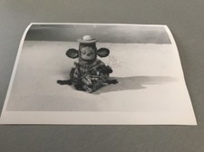 Pépin bulle photo d'occasion  Versailles