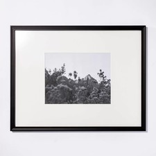 Matted x 14 for sale  USA