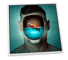 Fish tank face for sale  UK