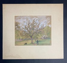Pierre chapuis arbre d'occasion  Issy-les-Moulineaux
