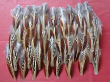 Cock pheasant outer for sale  ALFORD