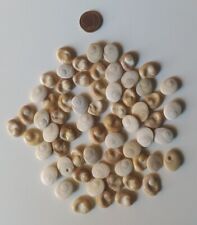 OCCHI DI SANTA LUCIA VENDITA A SCELTA comprar usado  Enviando para Brazil