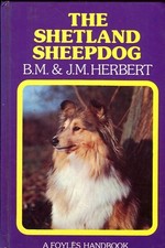 Shetland sheepdog. foyles for sale  LLANDYSUL