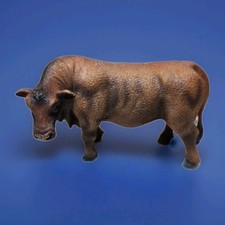 red angus bulls for sale red angus bulls for sale Placerville